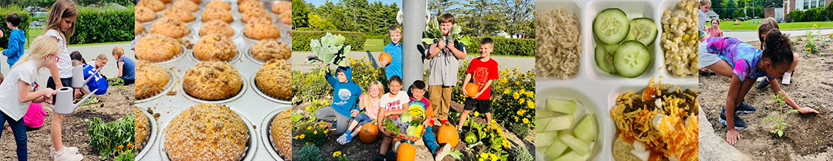 Photo collage depicting a Farm-to-School program, showing students gardening, harvesting fresh produce, baked muffins, and a healthy school lunch tray.