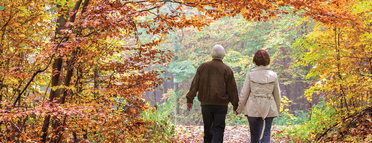 Senior couple holding hands while walking along a path surrounded by vibrant autumn foliage.
